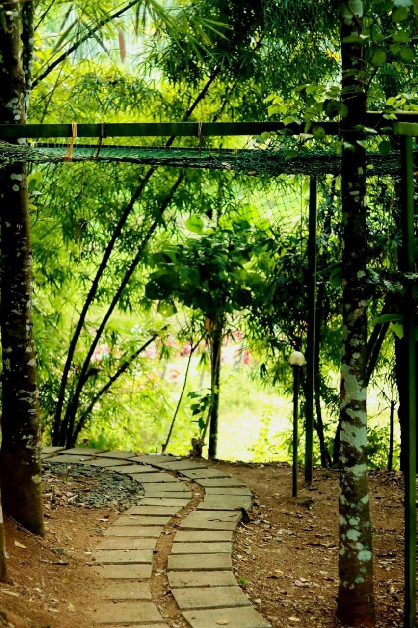 Ayurnest Pool Resort Wayanad Batheri Exteriér fotografie