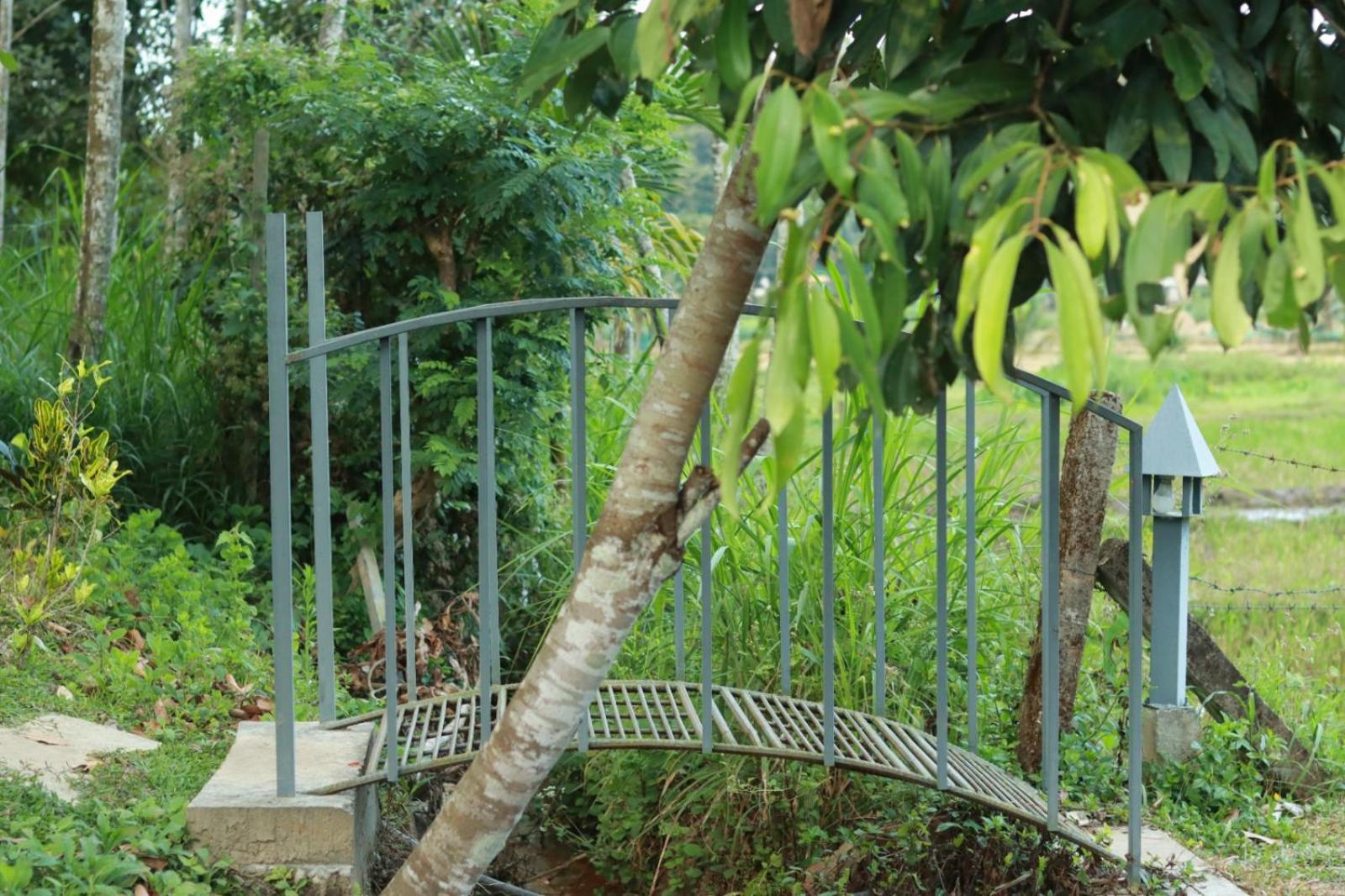 Ayurnest Pool Resort Wayanad Batheri Exteriér fotografie